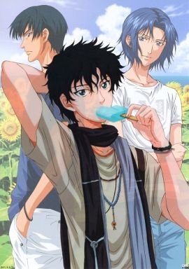 テニプリ　プレミアムセルシート Amazon.co.jp: テニスの王子様 プレミアムセルシート Vol.1 No.C-3＆No